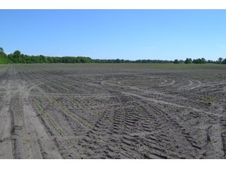 <b>PRICE REDUCED: $5,900 per acre</b><br>
This property offers productive tillable land along with two wooded areas.  Much of the larger woods near the road is on a ridge.  Investigate this area for a potential beautiful homesite as well as for hunting and recreational opportunities. <br>
<b>156.9+/- </b>Total Acres | <b>145.83+/-</b> Tillable Cropland Acres per FSA | <b>10+/-</b> Wooded Acres - 156.9+/- Acres For Sale - Cropland, Woods for Hunting/Recreational & Potential Building Sites